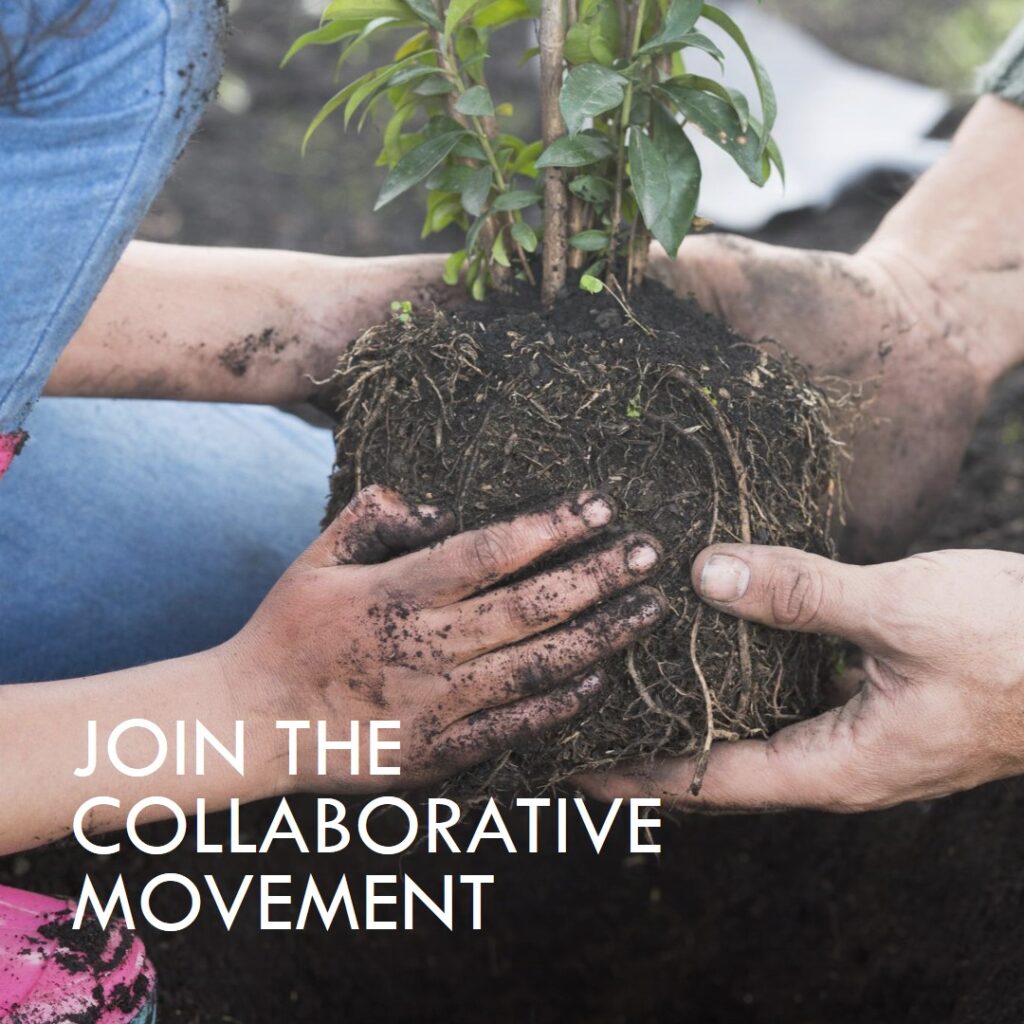 The Power of Collaborative Partnerships in the Industry